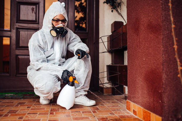 Attic and Crawl Space Rodent Treatment in Leona Valley